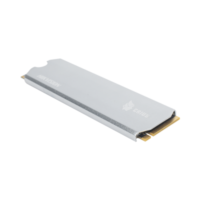 HS-SSD-E2000/1024G
