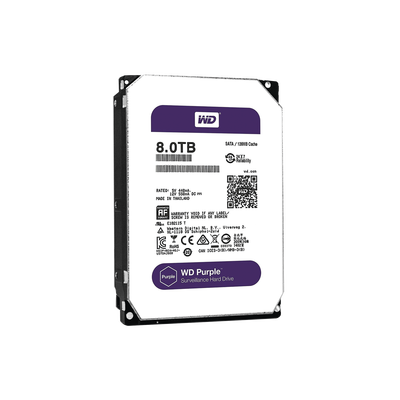 WD81PURZ