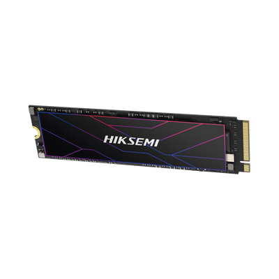 HS-SSD-FUTURE-PRO/2048G