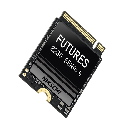 HS-SSD-FUTURES/1024G