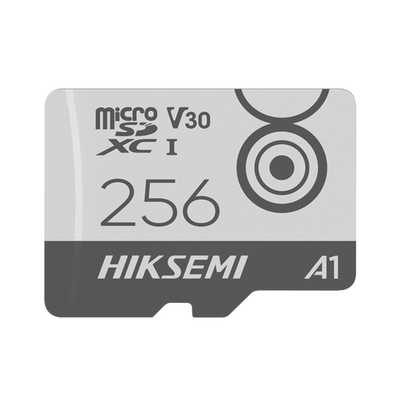HS-TF-M1/256G